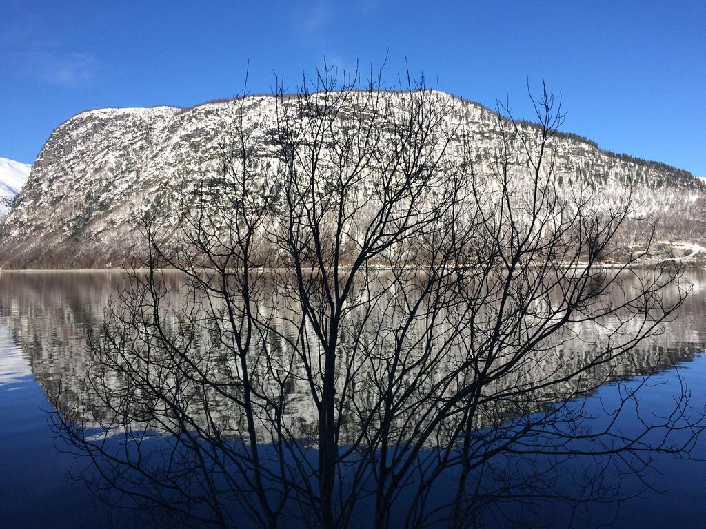 Overvoll Farm Stranda  Dış mekan fotoğraf